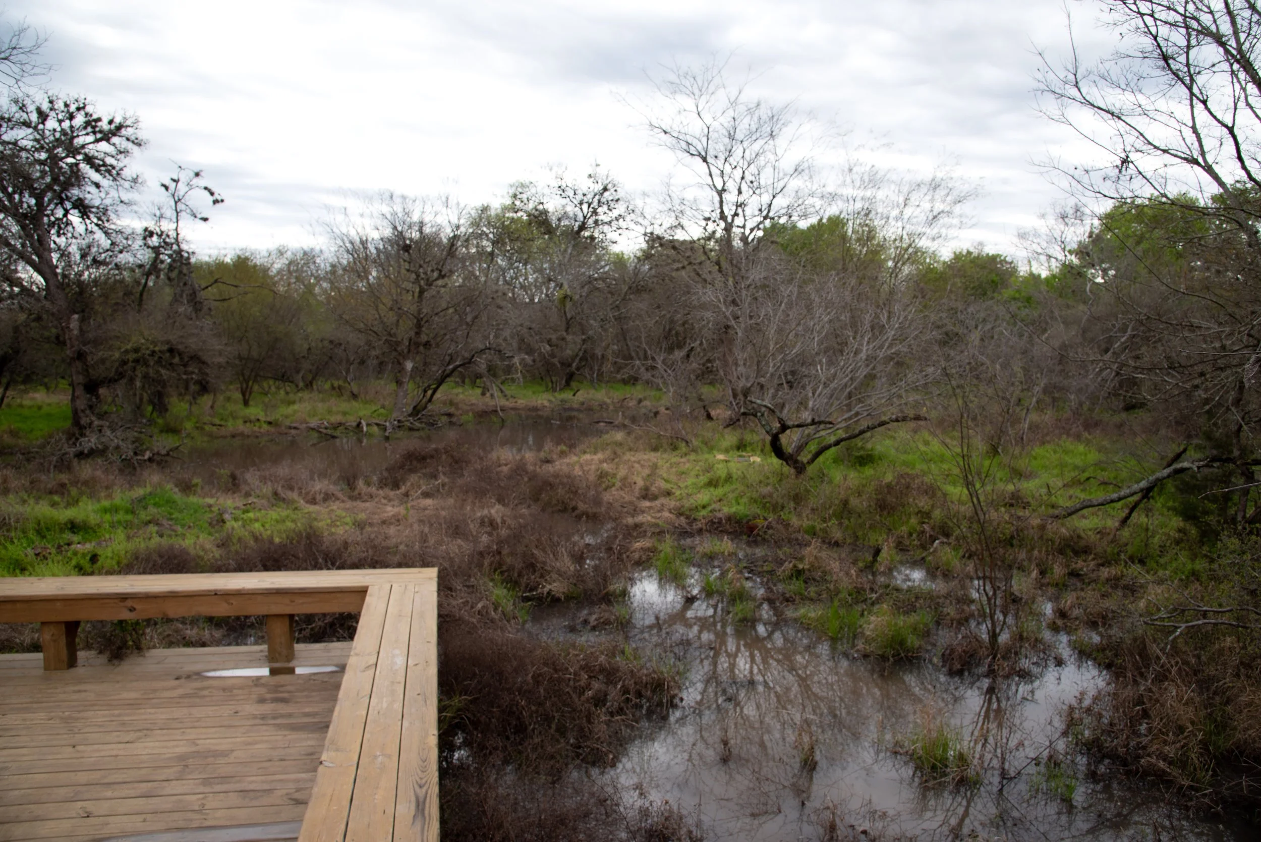 Growing Up Wild: Fish Full Lakes and Rivers
