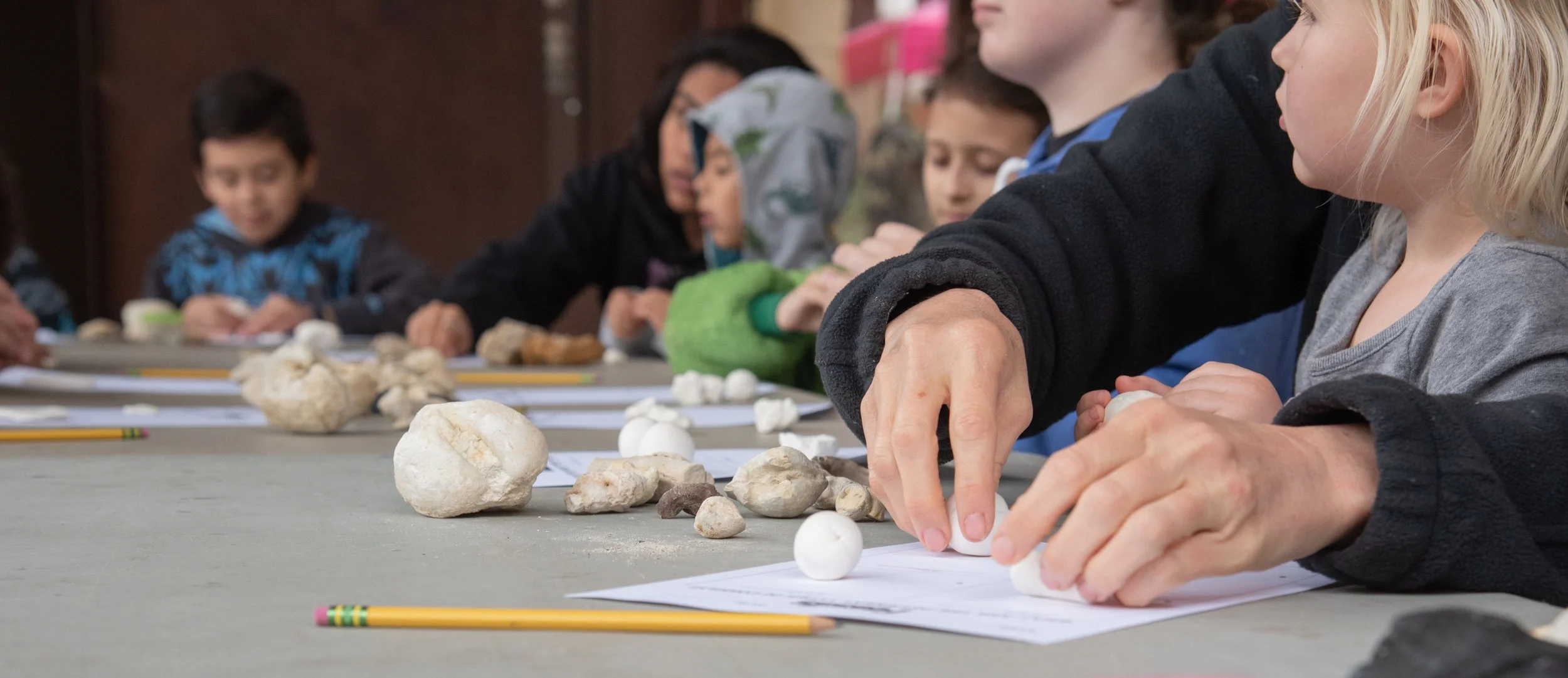 Growing Up Wild:  Rocks &amp; Fossils  