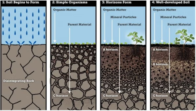 4th Saturday Talk: Rocks, Soils, and Plants