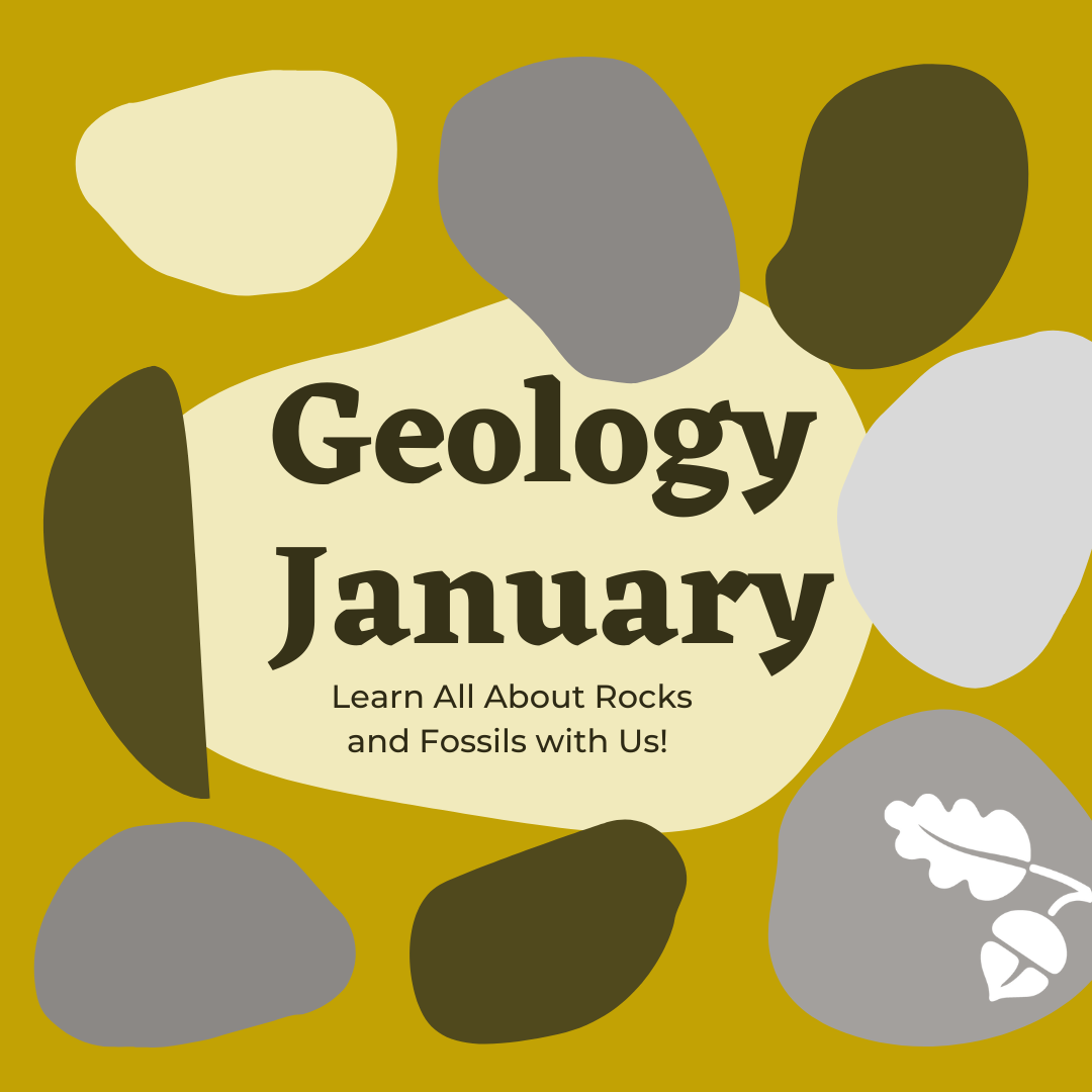 Going Deep: Deep rocks and deep time in South Texas and the Hill Country