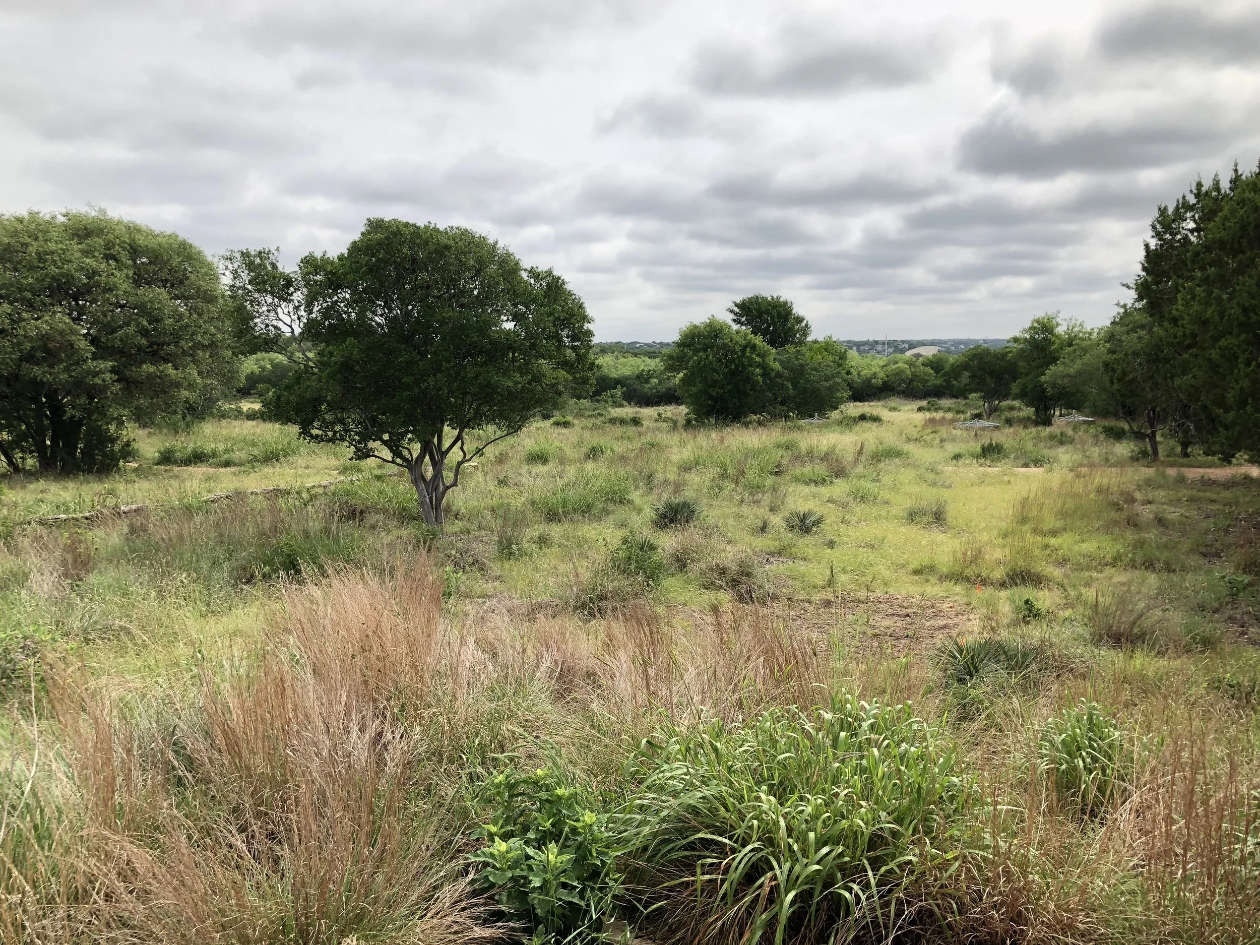Starting Out Wild: Prairies