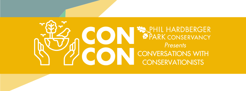 Con-Con: Ariana Aronis on Horned Lizards