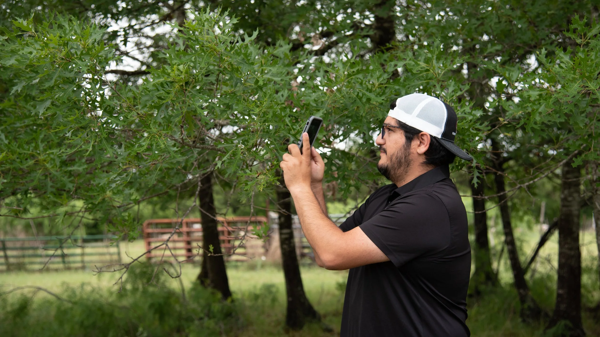 Identification Nature Walk