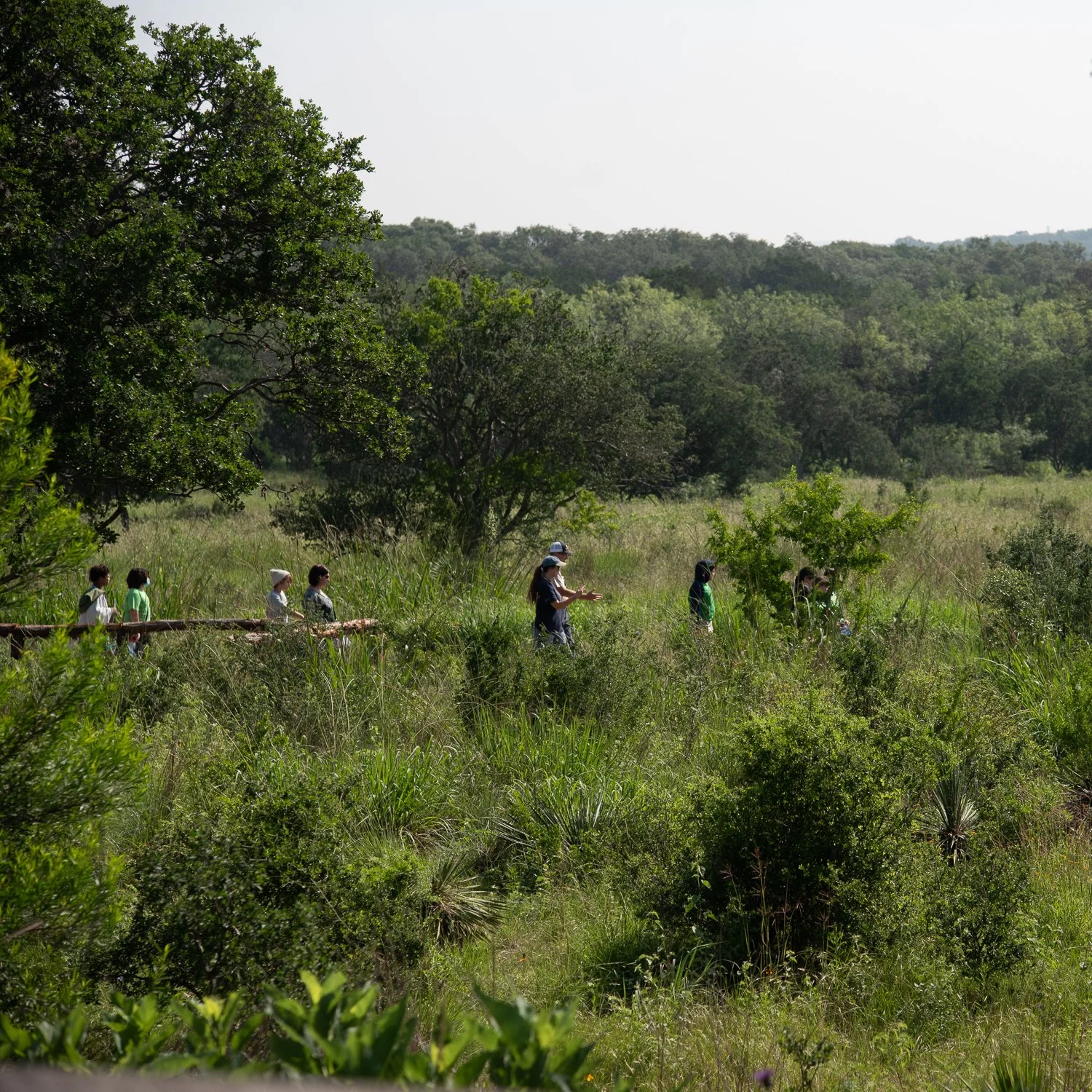 field-trip-fox-tech-ts-1.jpg