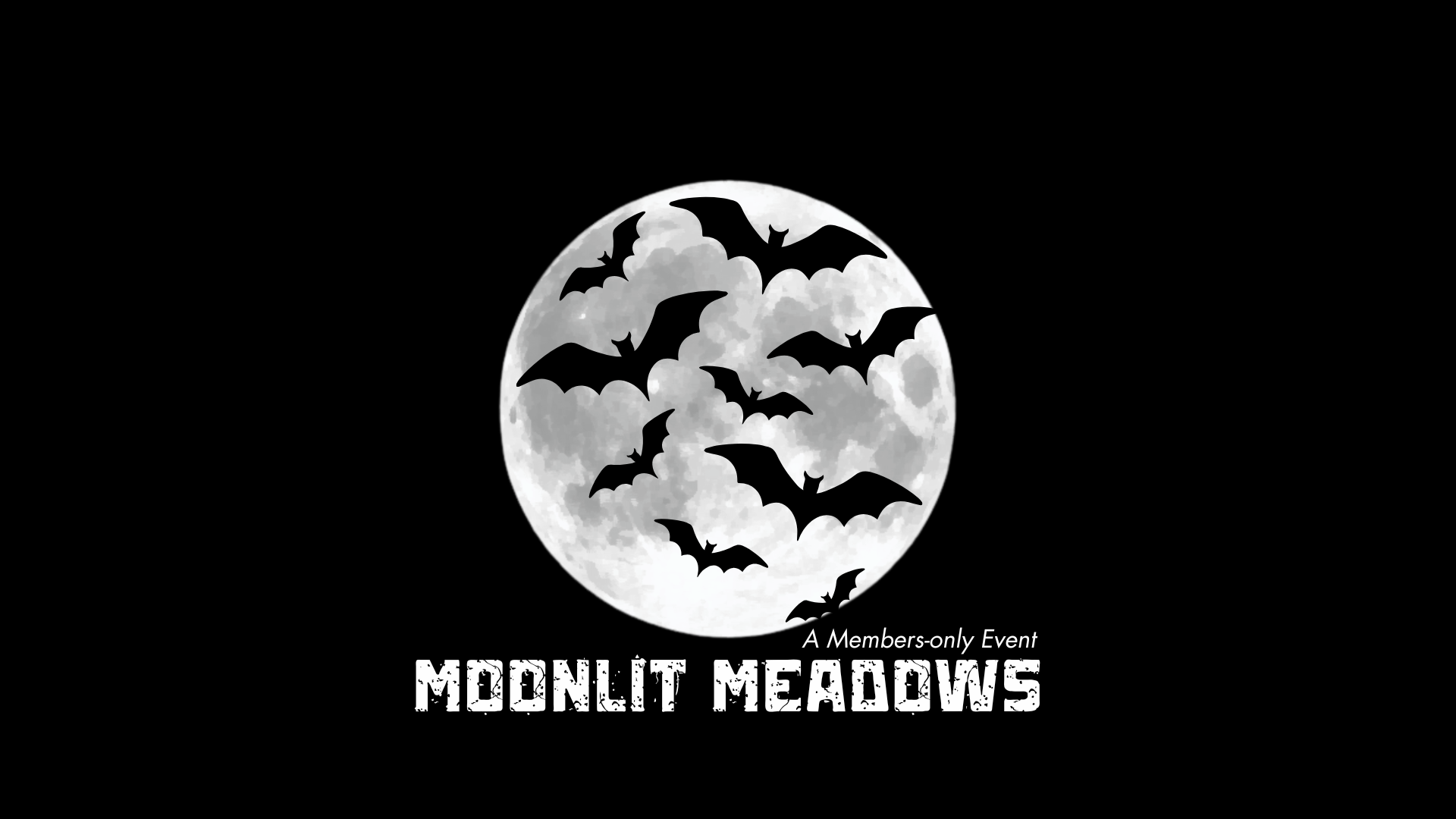 Moonlit Meadows Nature Walk