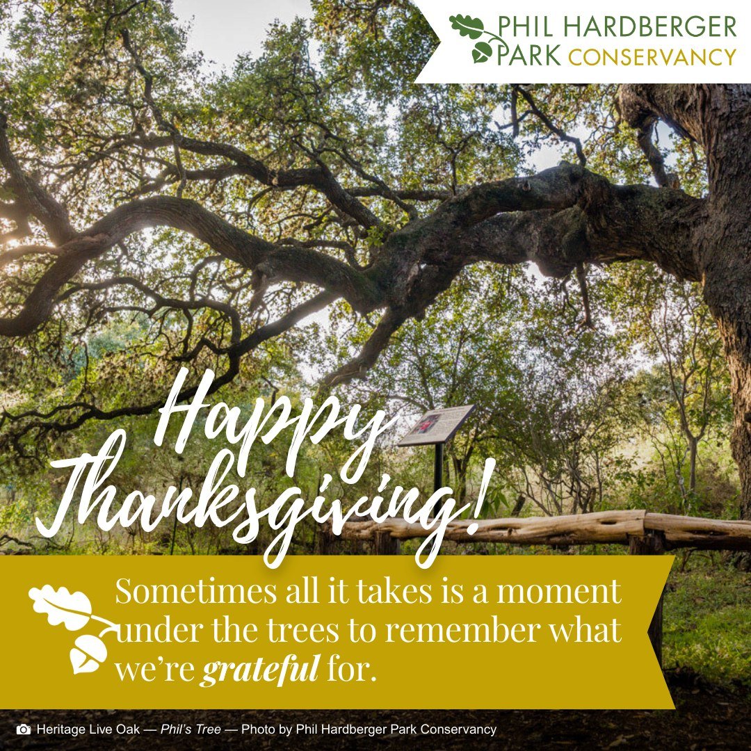 Happy Thanksgiving from Phil Hardberger Park Conservancy!

We're grateful for everyone who loves and cares for this Park &mdash; the folks who walk the trails, the volunteers who give their time, and the supporters who help keep this space thriving f