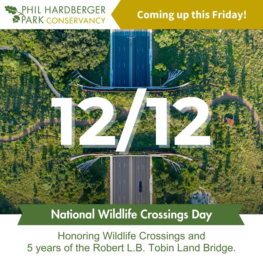 Something special is coming up this Friday!

December 12 marks the very first National Wildlife Crossings Day &mdash; a new celebration recognizing the importance of safe, connected pathways for wildlife across the country. And here at Phil Hardberge