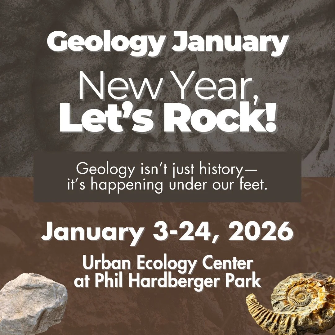 New Year, Let's Rock! 🪨

Geology January returns this January with a month of hands-on learning, guest speakers, and family-friendly programs exploring the forces that have shaped Texas landscapes&mdash;and life&mdash;over time.

From fossils and an