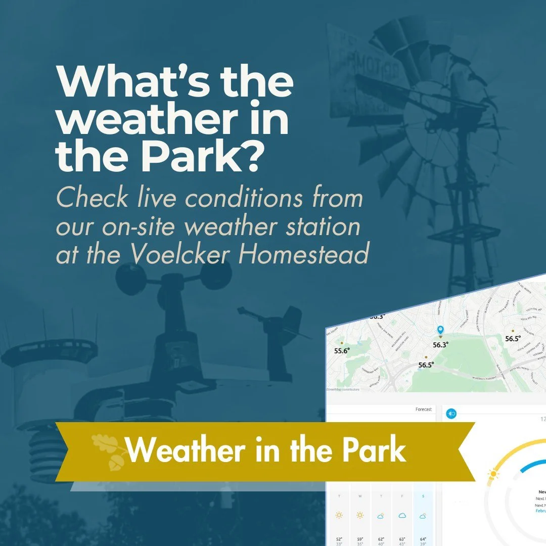 ❄️ Cold weather is here ❄️

Did you know Phil Hardberger Park has its own weather station?

Located at the historic Voelcker Homestead, the station shares live, local conditions and supports community science learning for all ages.

Before heading ou
