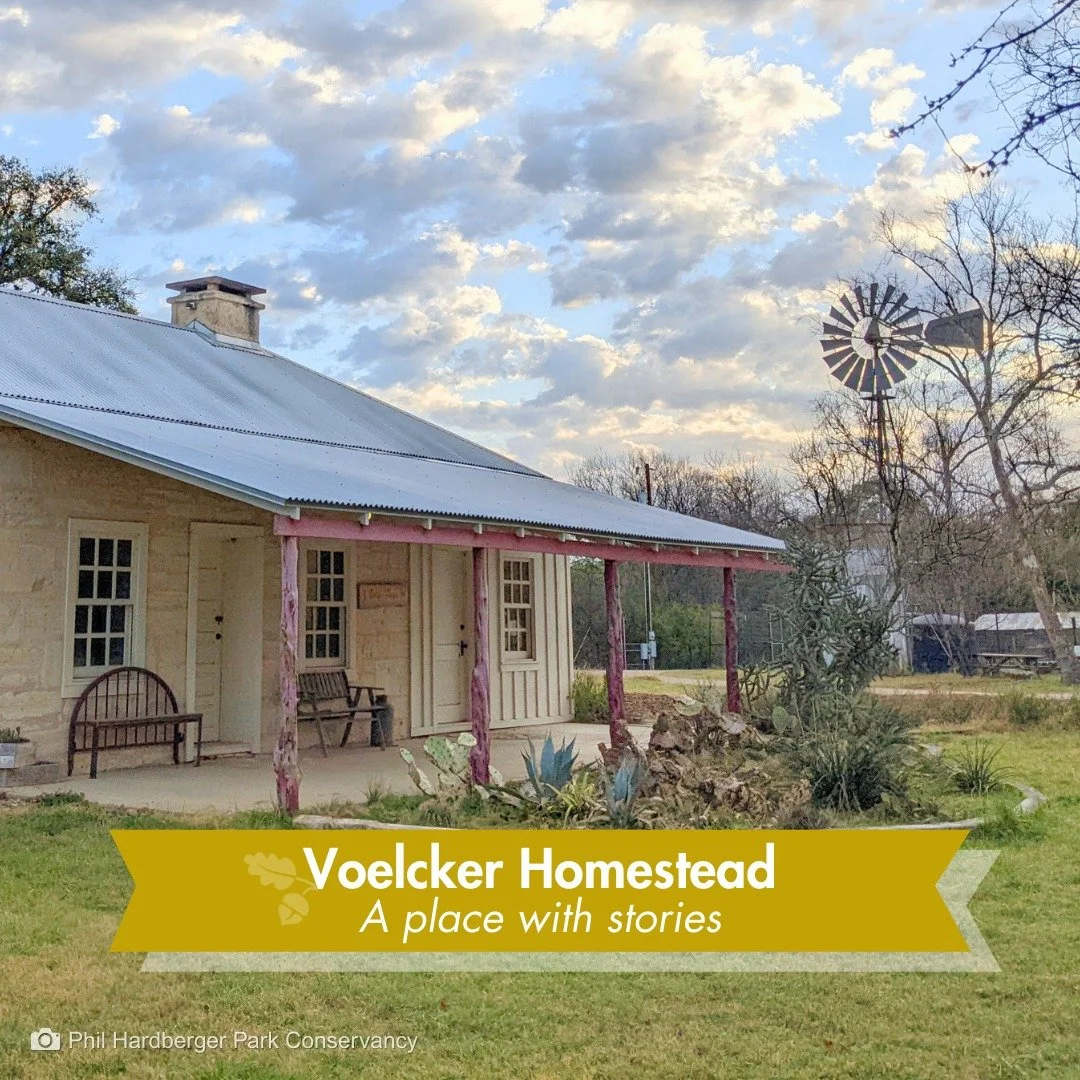 🌾 Did you know?

Phil Hardberger Park is home to a historic homestead, part of the Voelcker Farmstead Historic District and listed on the National Register of Historic Places.

This site reflects more than a century of everyday life on the land&mdas