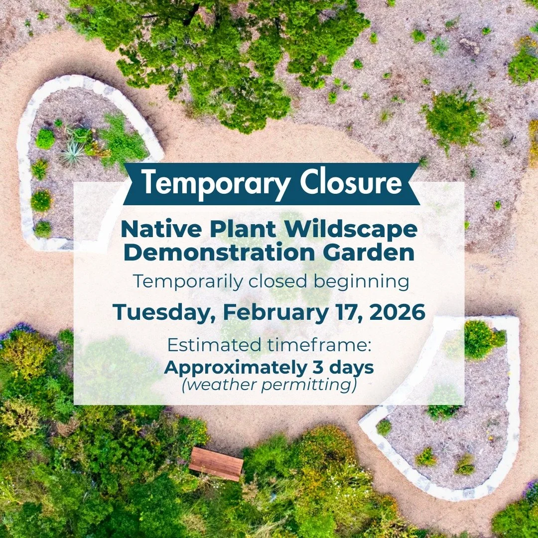 Temporary Closure to Refresh a Longtime Park Favorite

The Native Plant Wildscape Demonstration Garden will be temporarily closed for approximately 3 days beginning Tuesday, February 17, as improvements are made to the space.

During this time, the p