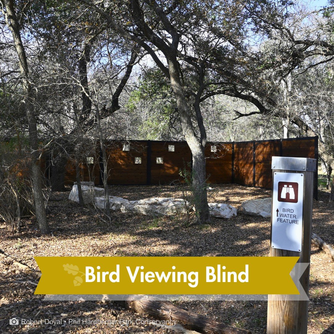 While the Native Plant Wildscape Demonstration Garden pathways are being refreshed, you might enjoy visiting the bird water feature and viewing blind &mdash; recently updated and a quiet spot to pause and watch what's gathering.

You'll find it on th