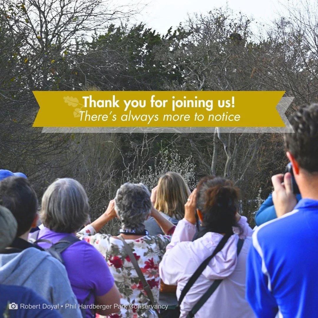 Thank you to everyone who joined us for All About Area Birds with Patsy Kuentz last Saturday! 🐦

Whether you came with binoculars or just curiosity, you were part of something that matters&mdash;paying attention to the everyday wildlife that makes t
