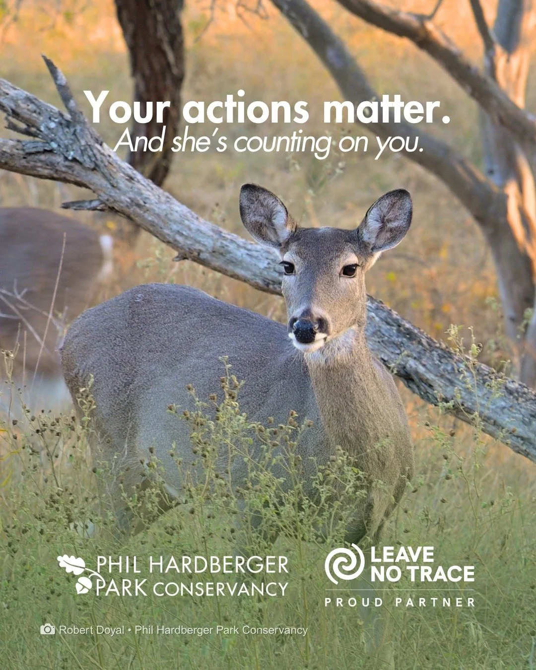 Your actions matter. Even the small ones.

Staying on the trail. Packing out what you packed in. Knowing Leave No Trace basics before you head out. None of it is complicated. All of it adds up. Especially when you share it.

One person knowing makes 