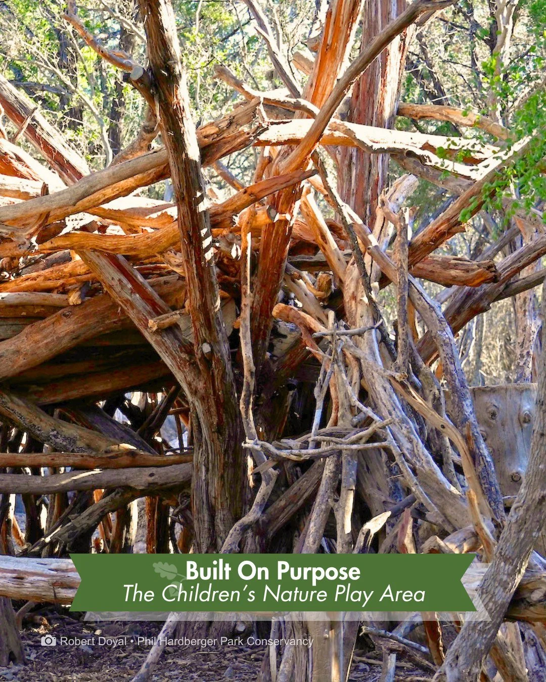 A pile of logs and limbs isn't waste. It's an adventure.

When crews prepared for construction of the Land Bridge, the logs, stumps, and limbs didn't go to a landfill. Park staff and volunteers repurposed them into the Children's Nature Play Area. No