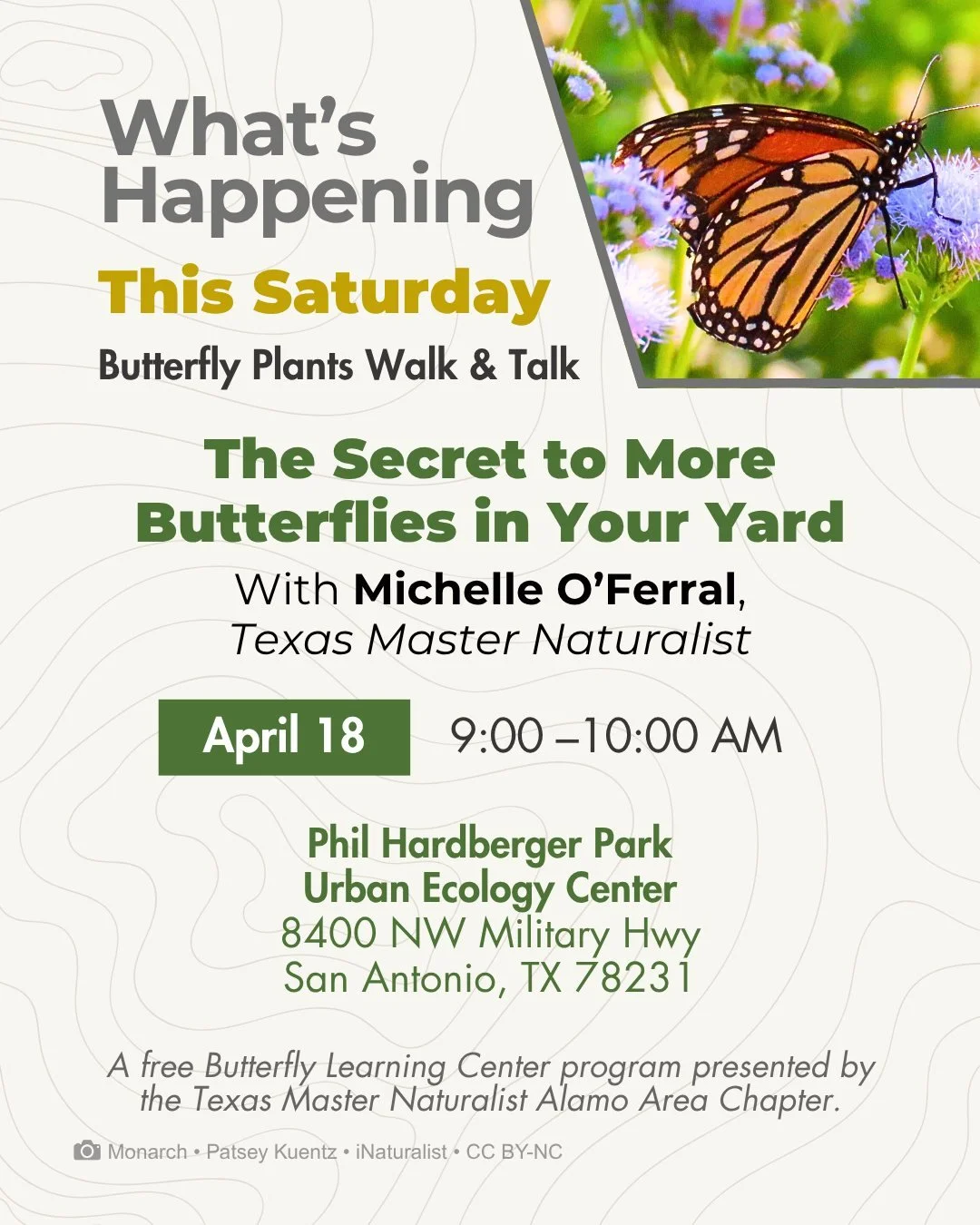 A monarch on Gregg's mistflower. Plant the right thing, and butterflies will find you.

Butterflies don't show up by accident. They need the right plants, and most yards don't have them yet.

Join us this Saturday, as Texas Master Naturalist Michelle