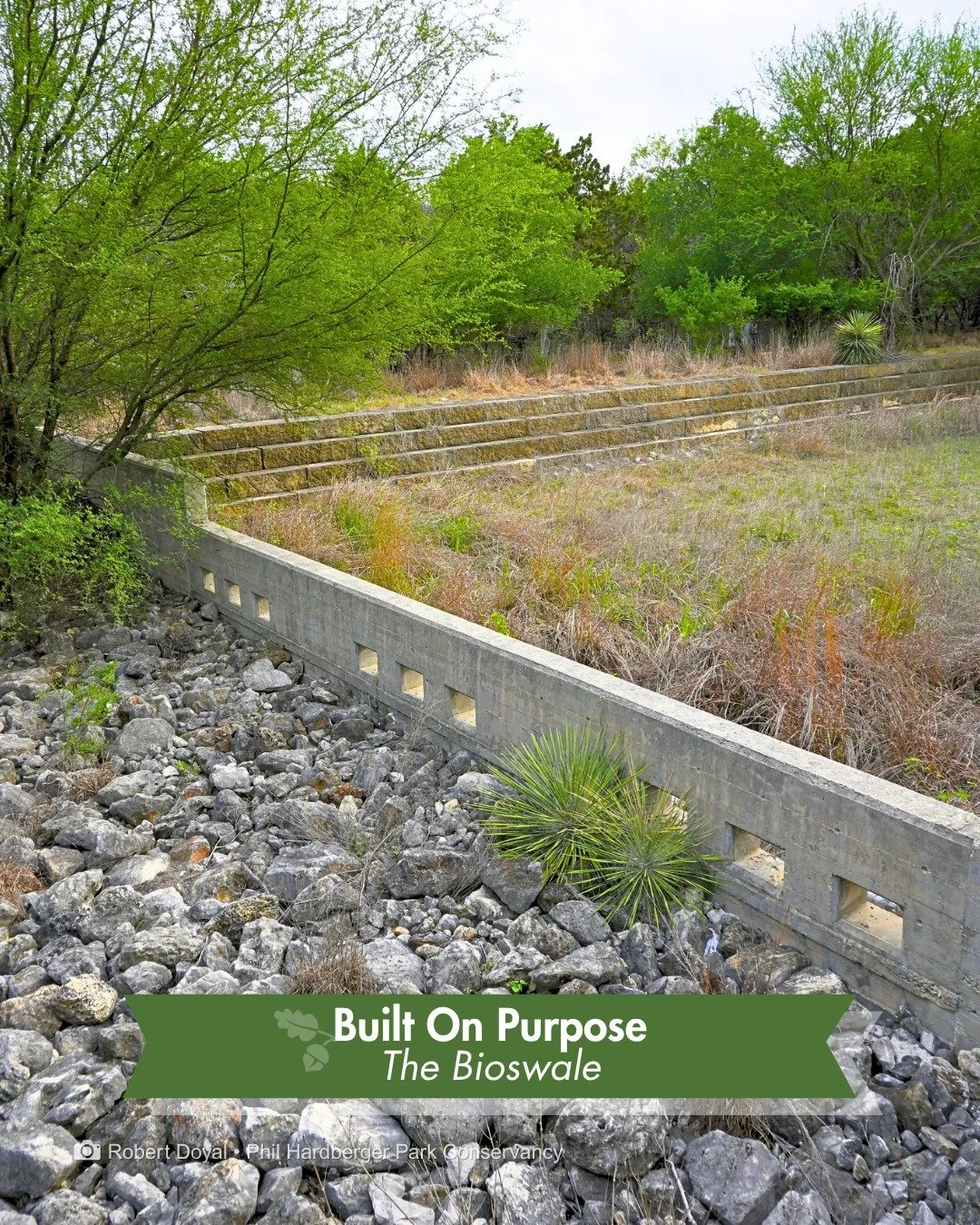You've probably walked right past it.

The bioswale alongside the Urban Ecology Center isn't decoration. It's infrastructure. A terraced channel of native plants and rock that quietly does one of the most important jobs in the Park.

Stormwater flows