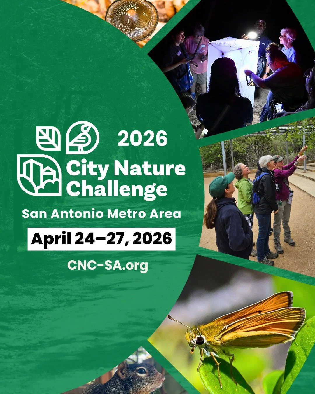City Nature Challenge starts today.

Now through Monday, people in cities around the world head outside to document the wild things living around them. It's a global community science event, and the @City Nature Challenge: San Antonio Metro Area has 