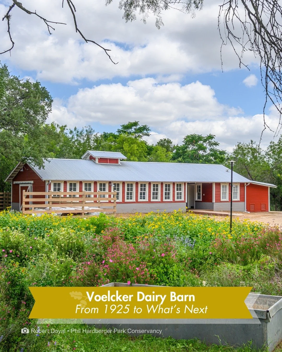 Cows mooing at dawn. The clank of metal pails. The smell of hay and fresh milk. Work starting before the rest of the city woke up.

That was just another day on the Voelcker dairy farm.

Today, the distant chatter of walkers, bikers, and runners on t