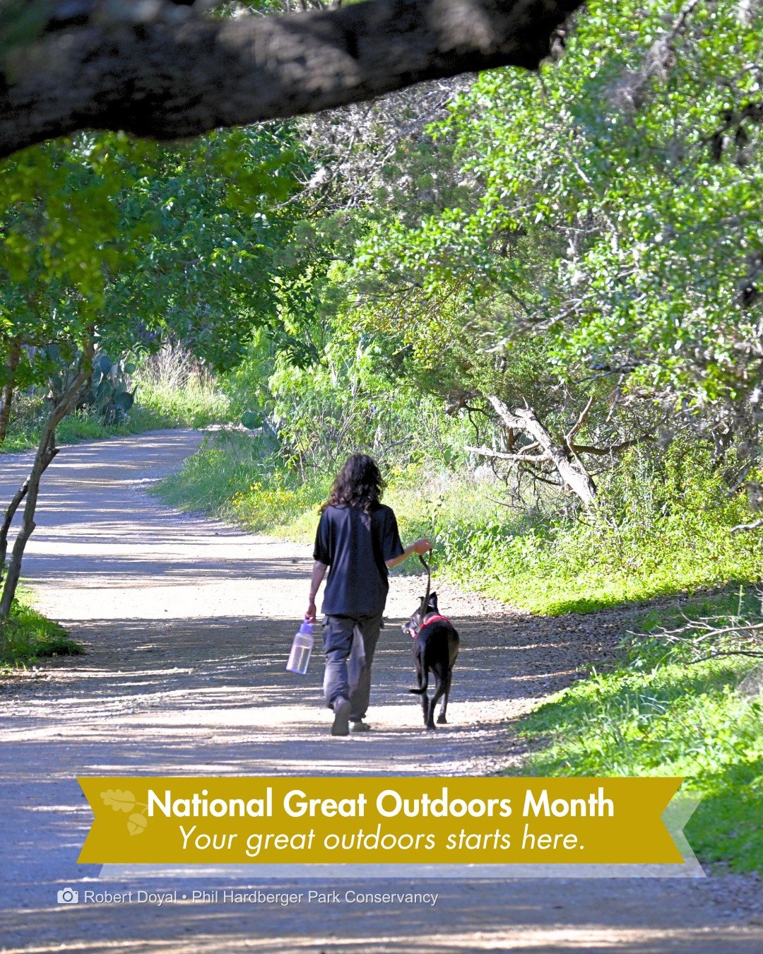 This is your sign to get outside this month.

Getting outside is good for you. Phil Hardberger Park is right here when you're ready. Imagine shaded trails, fresh air, and the sound of birds overhead. That's here in the Park, on any given day. And we'