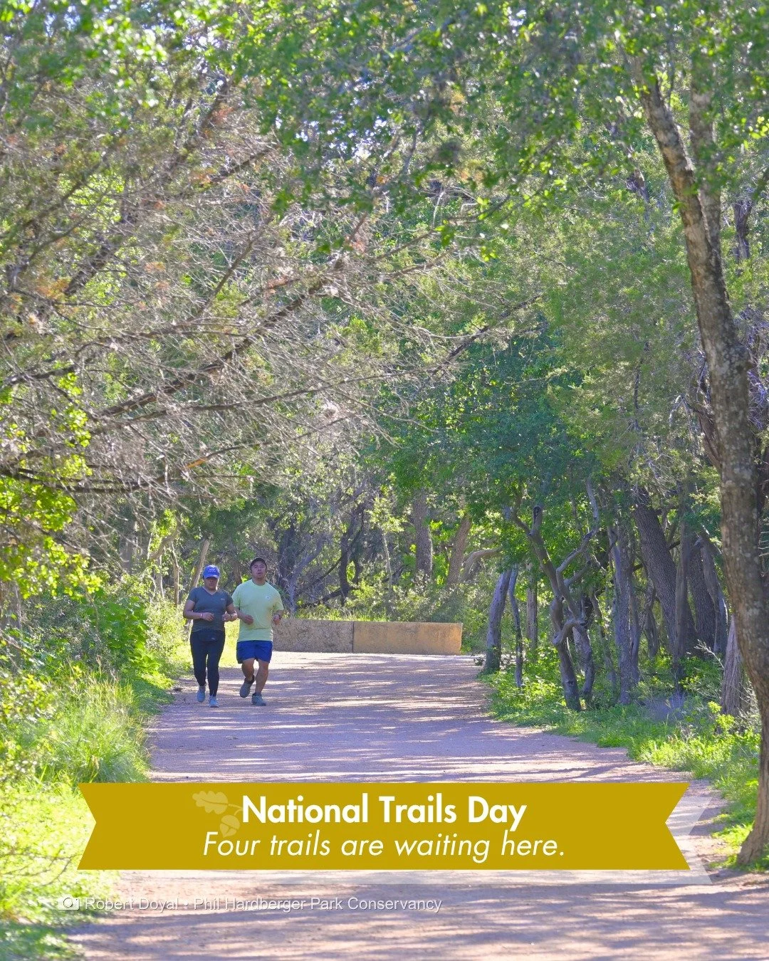 This is what a trail in the urban wild looks like.

Light peeking through the canopy. Squirrels darting across the path. The sound of your own footsteps on packed earth.

That's the Savanna Loop. One of four trails winding through the Park. We have o