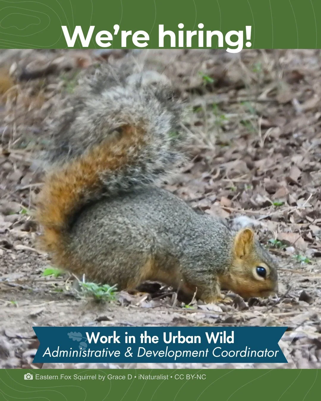 Imagine clocking in at a 330-acre nature preserve.

Phil Hardberger Park Conservancy is hiring an Administrative &amp; Development Coordinator to join our team right here in the Park. If you're organized, easy to work with, and genuinely care about p