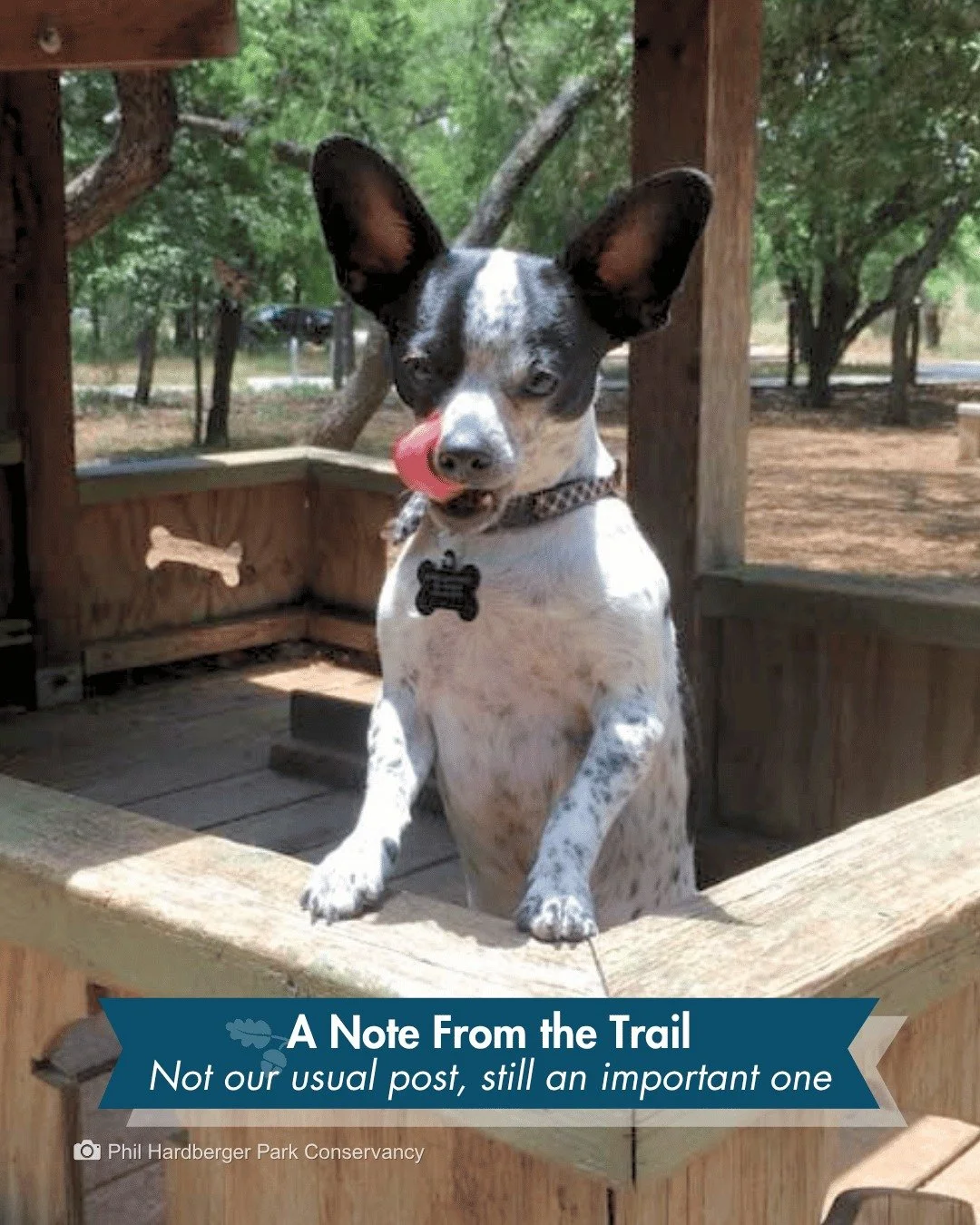 A visitor left this review of the Park, which says what many people are probably thinking.

"Pick up your dog's poop, dog walkers. It's not all of you, but some of you are ruining it for everybody else. And picking up your dog's poop does not me
