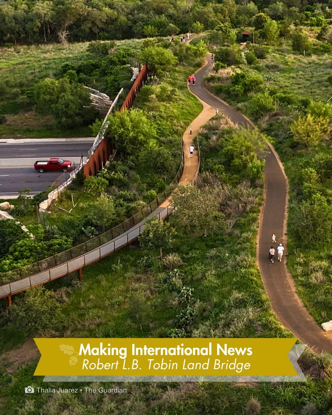 A major international newspaper doesn't usually spend a whole photo essay on a wildlife crossing in San Antonio.

The Guardian did. It's part of their "Design a better world" series, a look at how designers around the world are solving big 