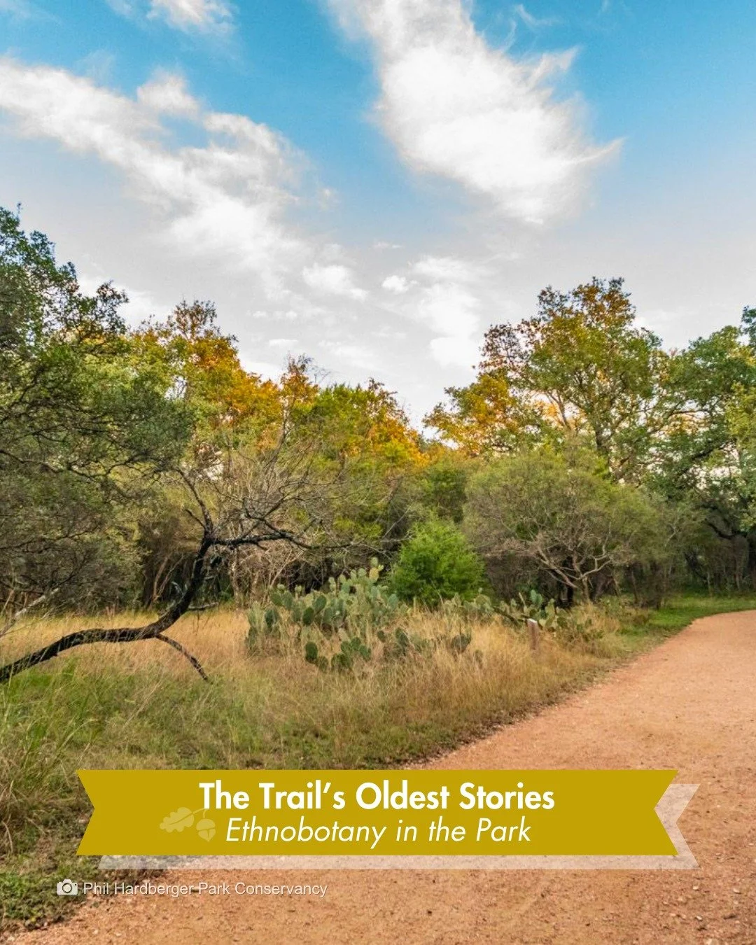 Those wild plants growing along the trails? Someone once depended on them for survival.

Thousands of years before this was a park, this land was something else entirely. It was a place that fed, clothed, and healed people.

Ethnobotany is the study 