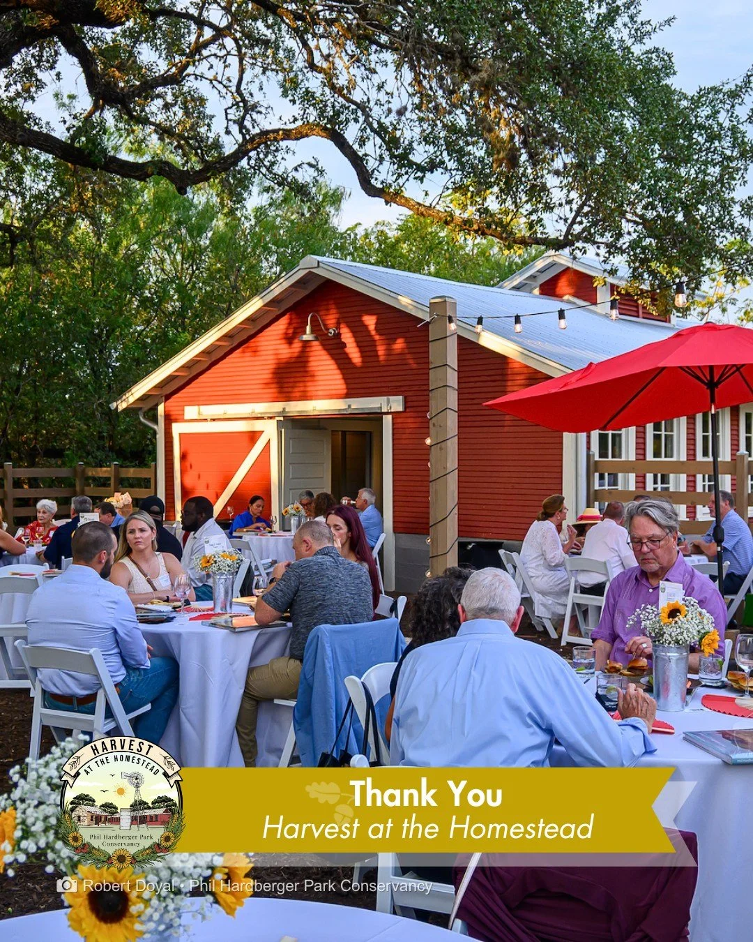 Last night, Harvest at the Homestead brought supporters together at the Voelcker Historic Farmstead, raising over $70,000 for the Phil Hardberger Park Conservancy. Funds raised support environmental education, habitat restoration, and historic preser