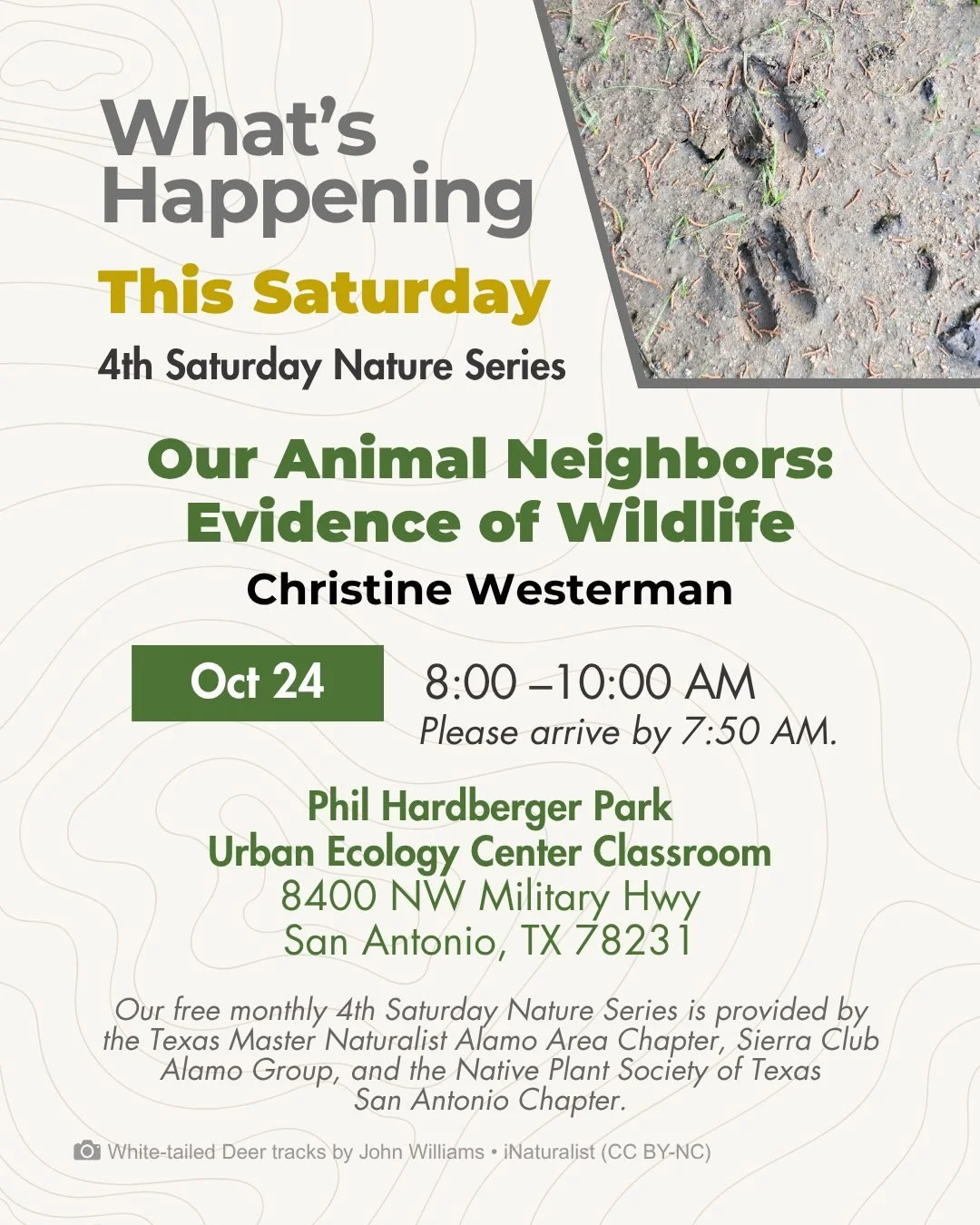 You won't see most of the wildlife that calls this Park home. But after this walk, you'll know the signs to look for.

This Saturday, Christine Westerman, project manager at a national environmental consulting firm and part of the team behind the Par