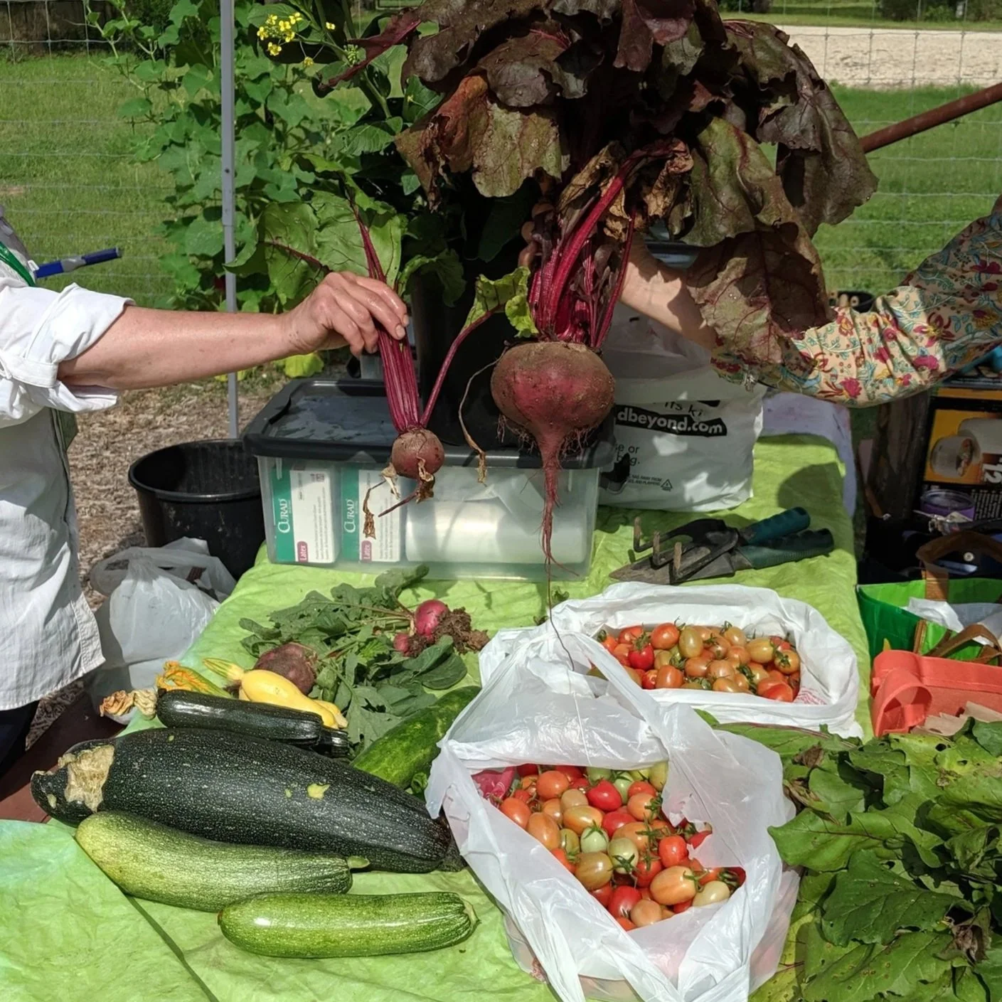 Register for Spring 2026