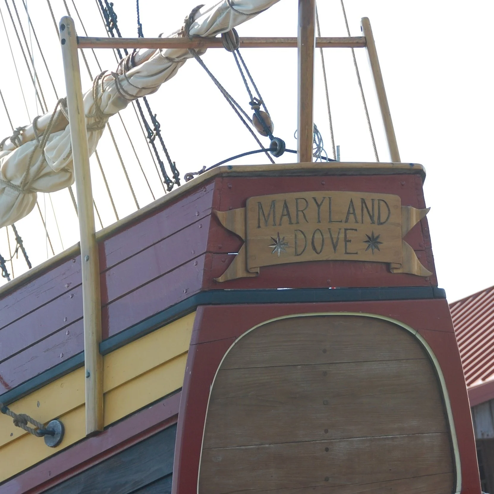 CBMM_MD_Dove.jpg