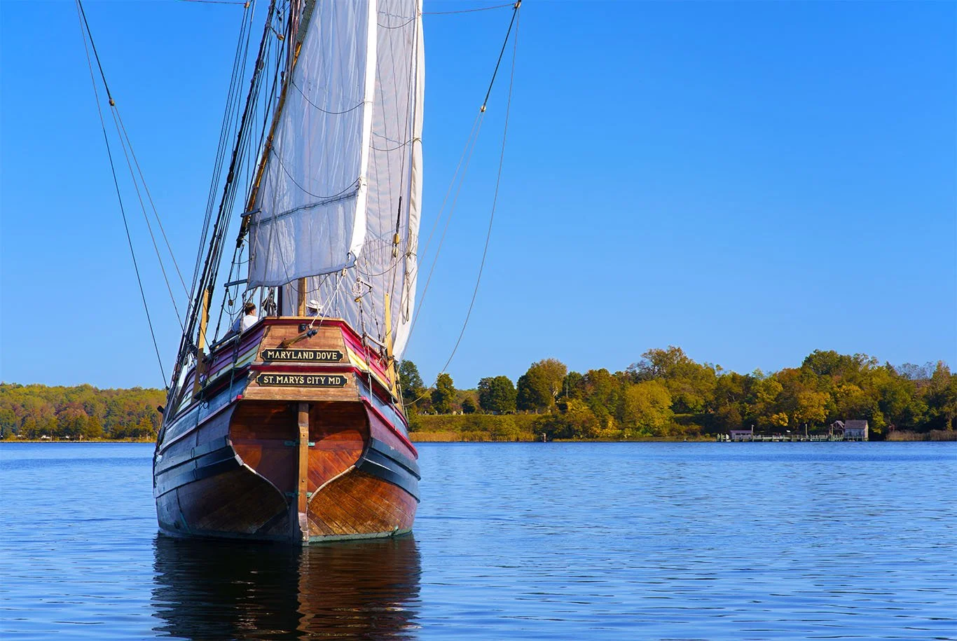 Maryland Dove-Dingus.jpeg