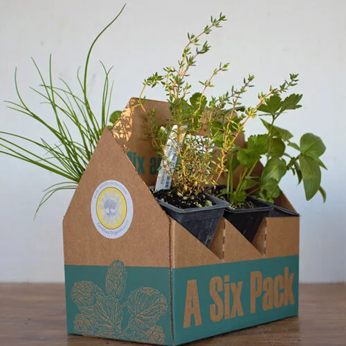 Herb_6pack.jpg