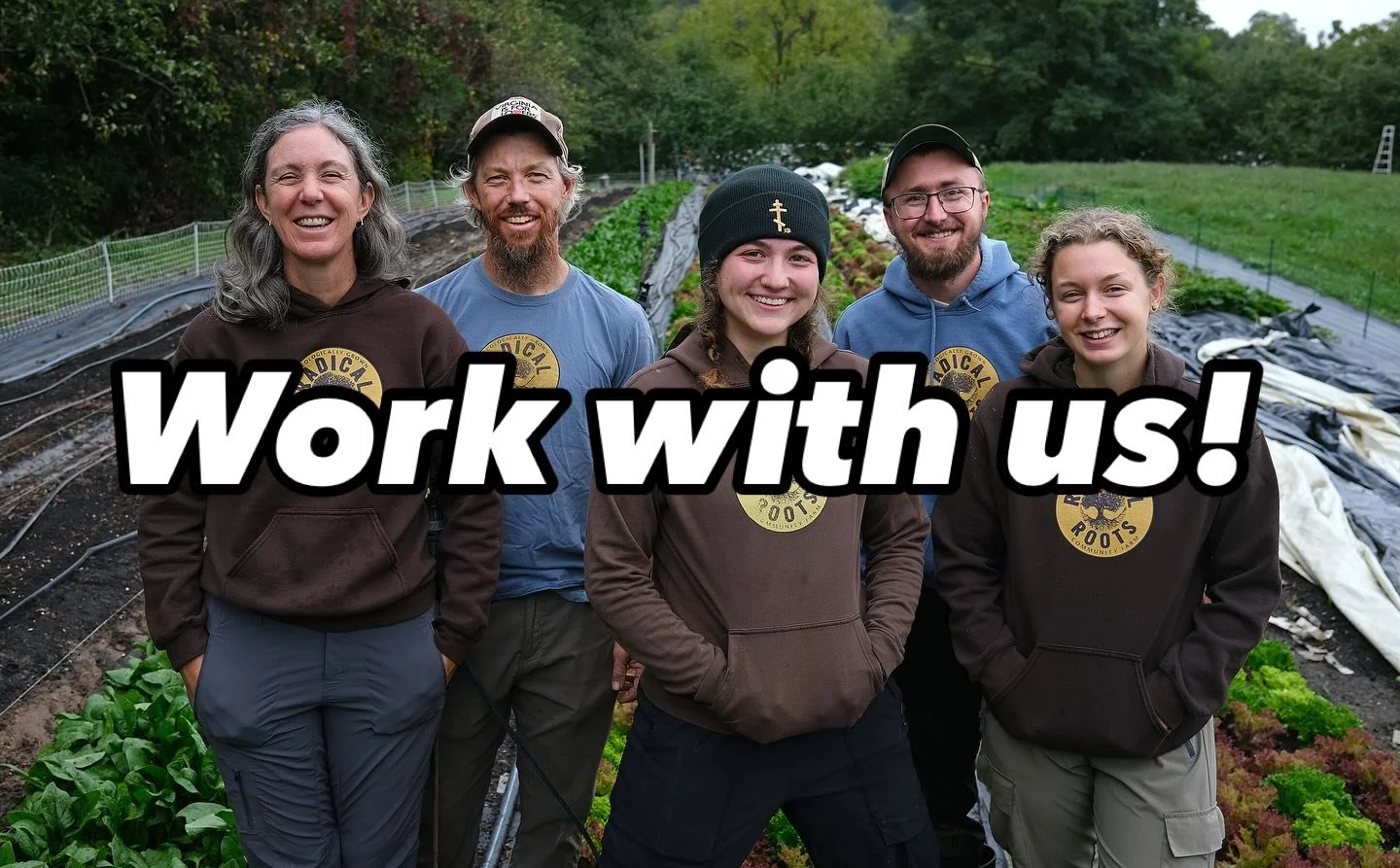 We are hiring for the 2025 Season! Apply now!