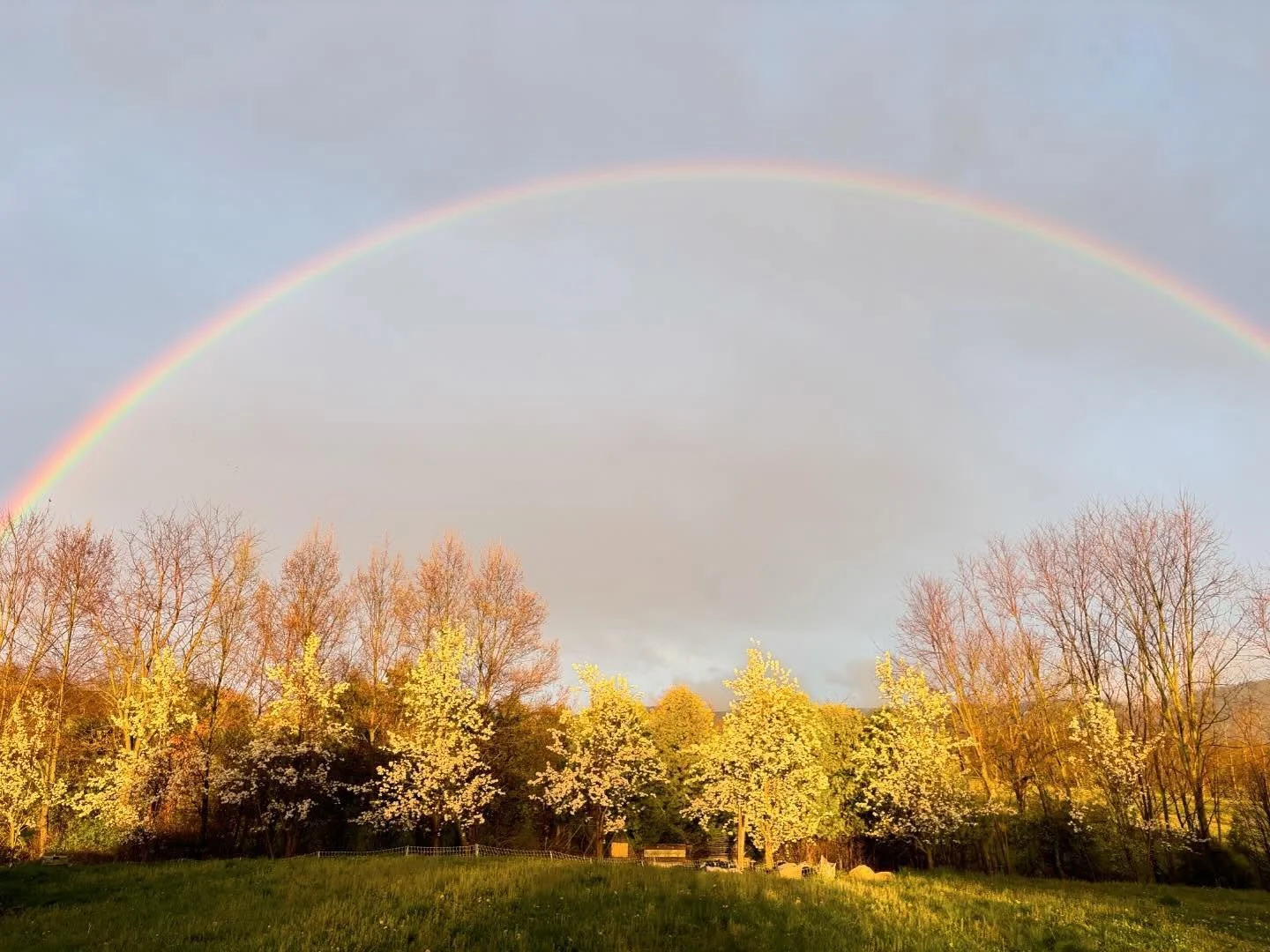 Double Rainbow Blessings&hellip;every little thing is gonna be okay.