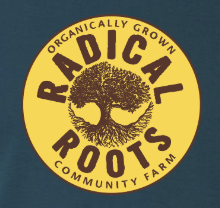 Screenshot 2025-04-10 131601.png