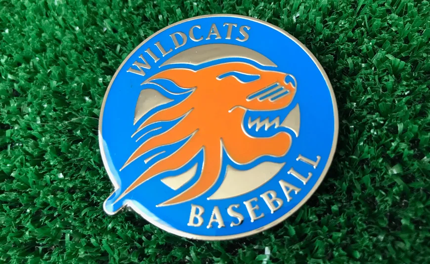 Wildcats pin.jpg
