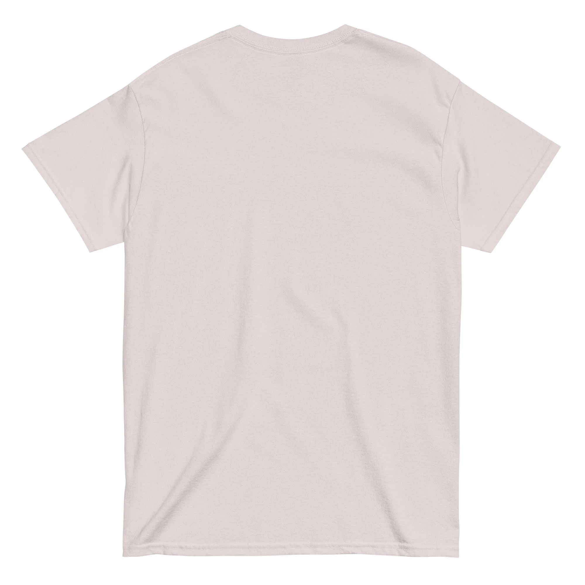 unisex-classic-tee-ice-grey-back-6884d2fd8220c.jpg
