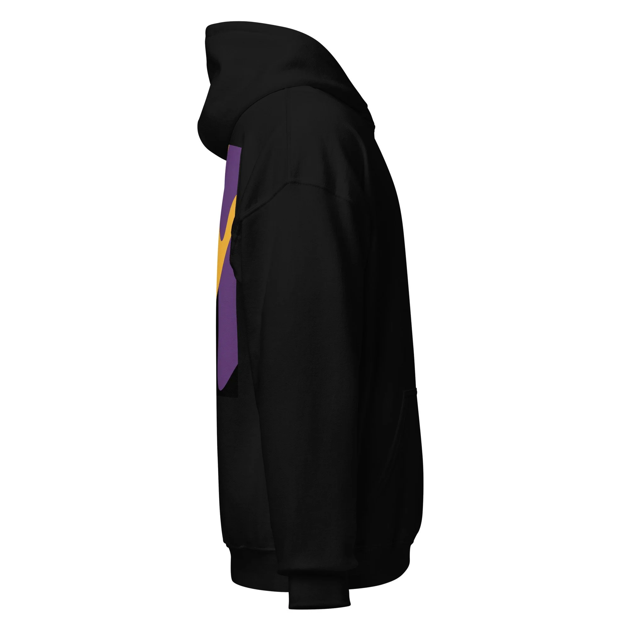 unisex-heavy-blend-hoodie-black-right-68a48914025d2.jpg