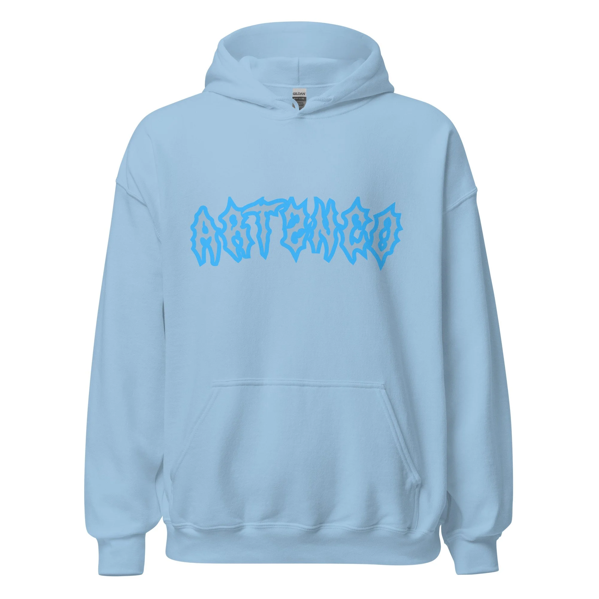 unisex-heavy-blend-hoodie-light-blue-front-68c6b1f9d46f4.jpg