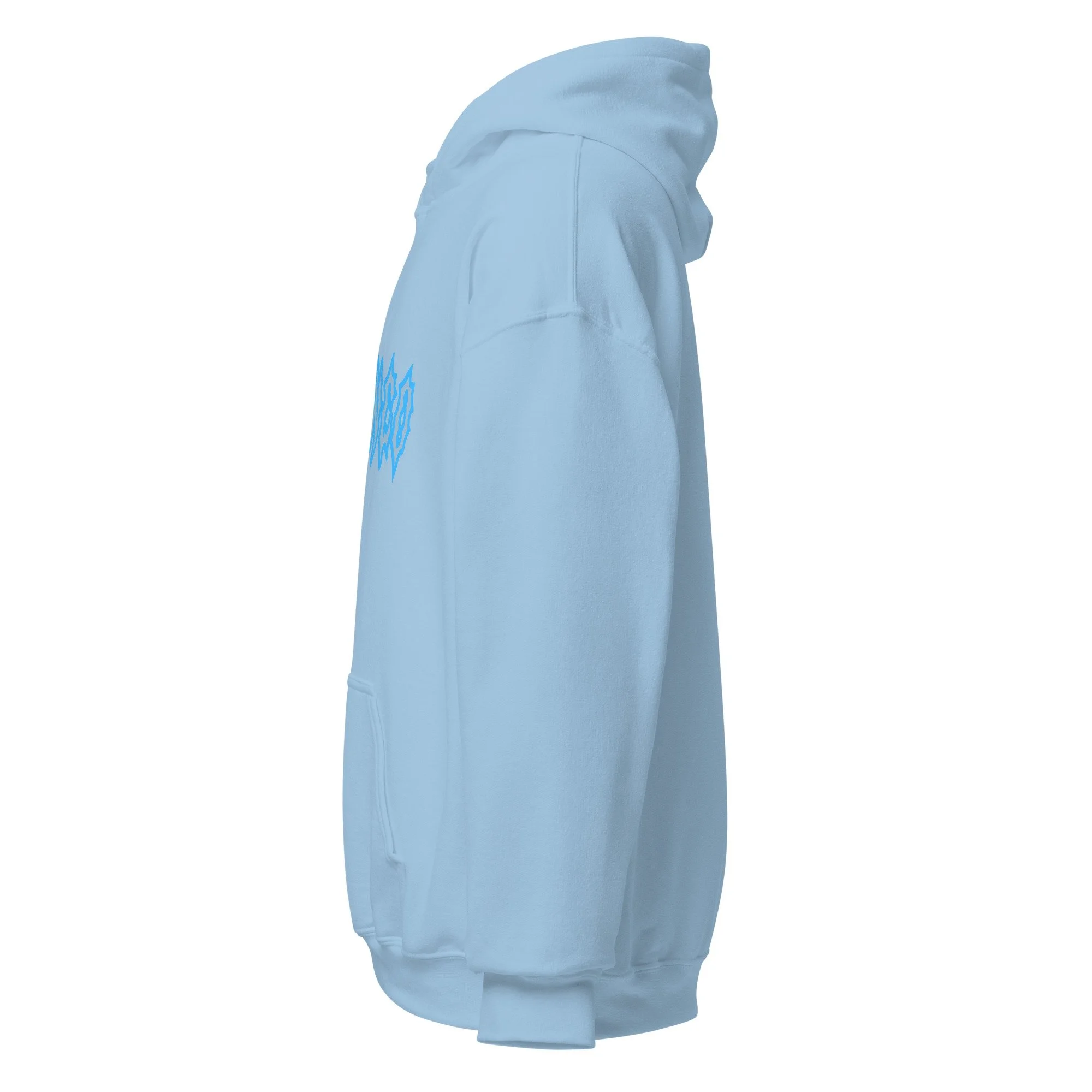 unisex-heavy-blend-hoodie-light-blue-left-68c6b1f9d679b.jpg