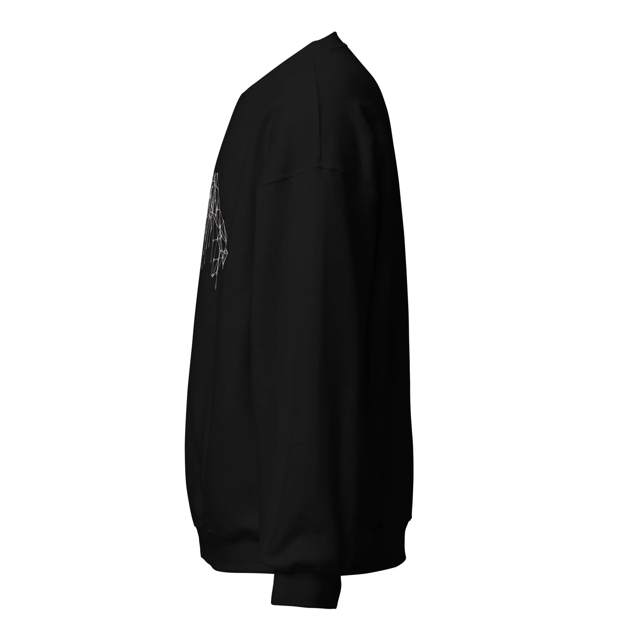 unisex-crew-neck-sweatshirt-black-left-68cac1f6017f7.jpg