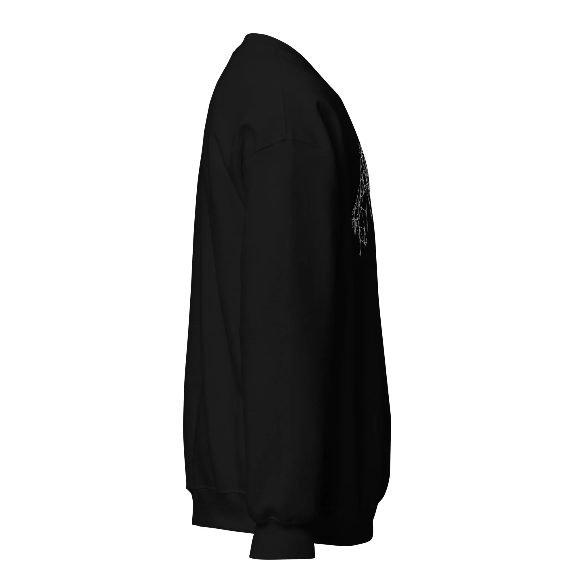 unisex-crew-neck-sweatshirt-black-right-68cac1f60261b.jpg