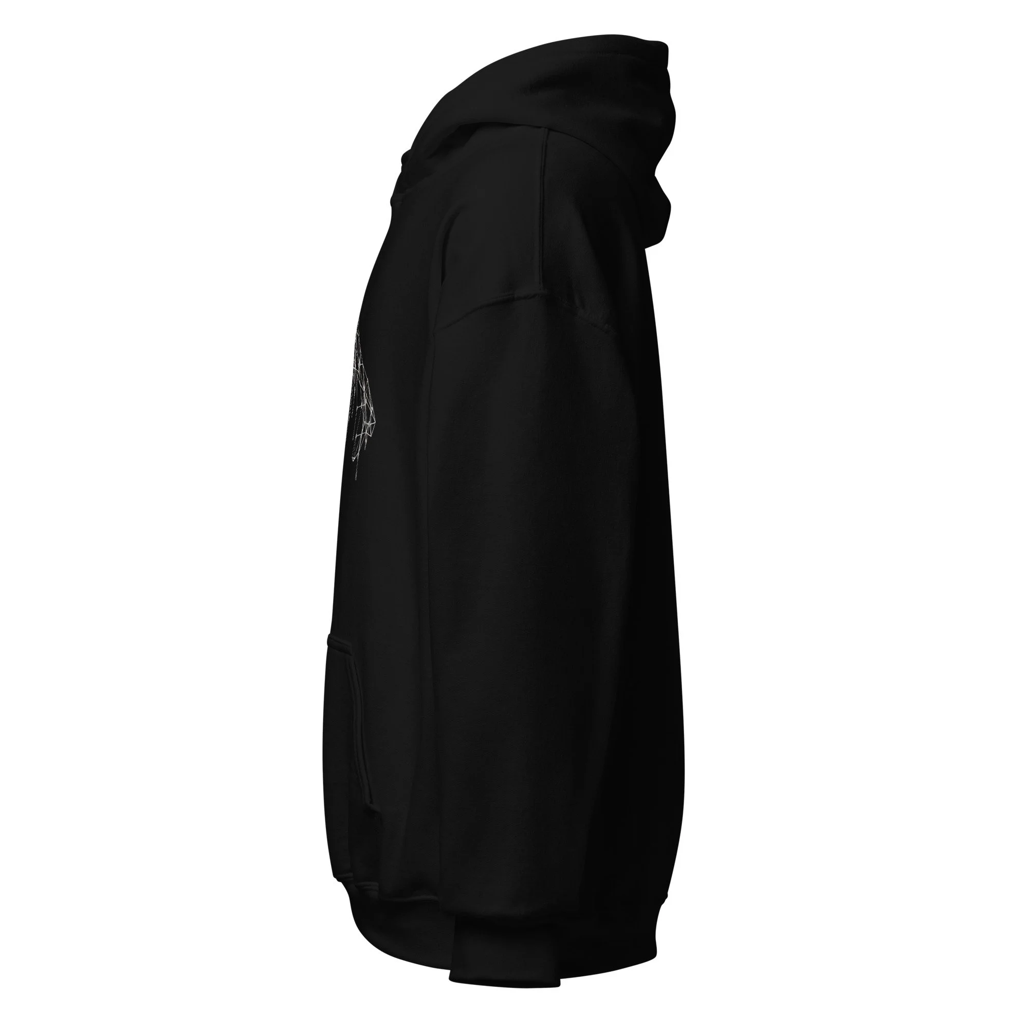 unisex-heavy-blend-hoodie-black-left-68d941497809f.jpg