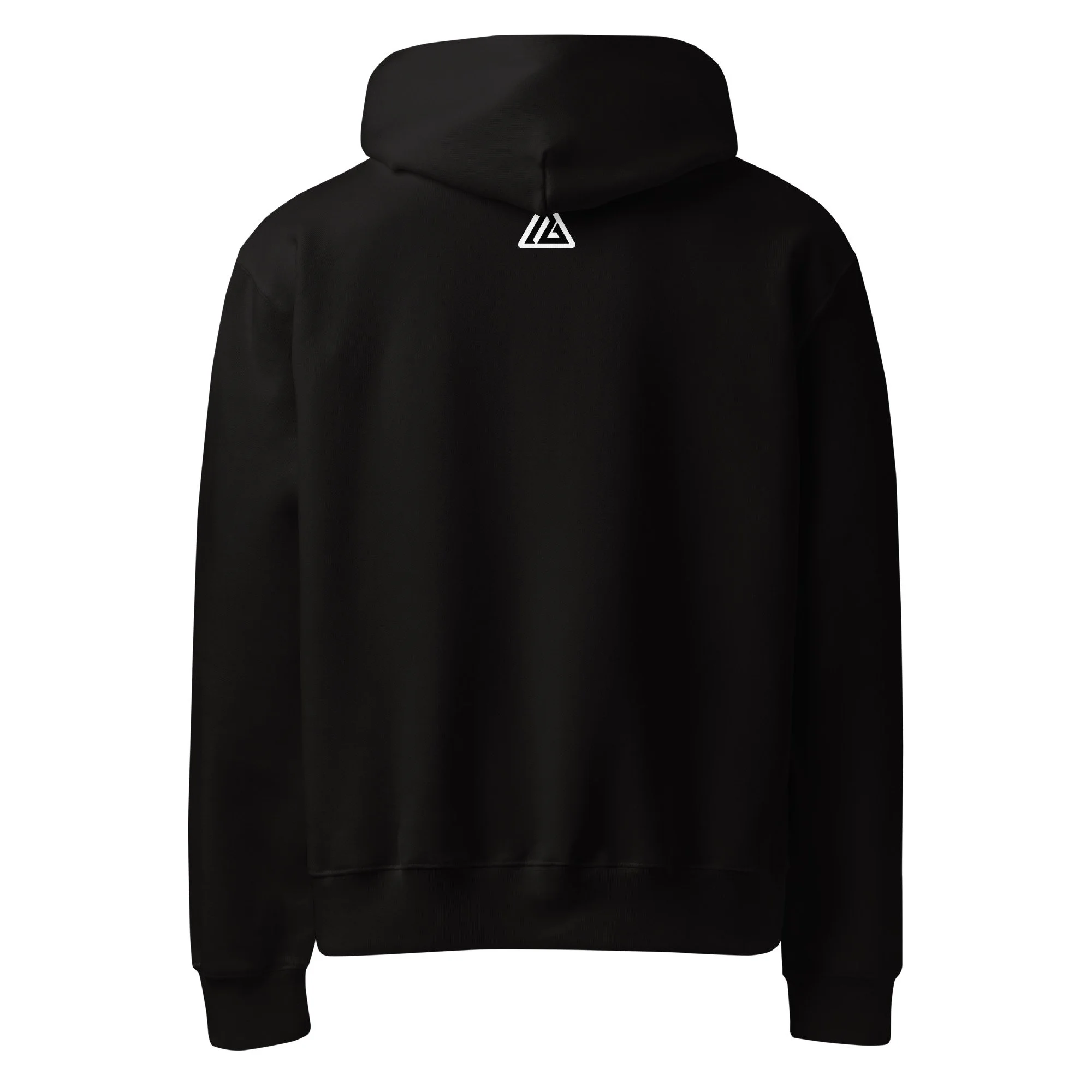 unisex-oversized-heavyweight-hoodie-black-back-68b5bdc5adc87.jpg