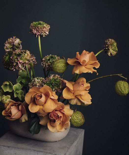 Screen Shot 2022-03-11 at 1.16.11 PM.png