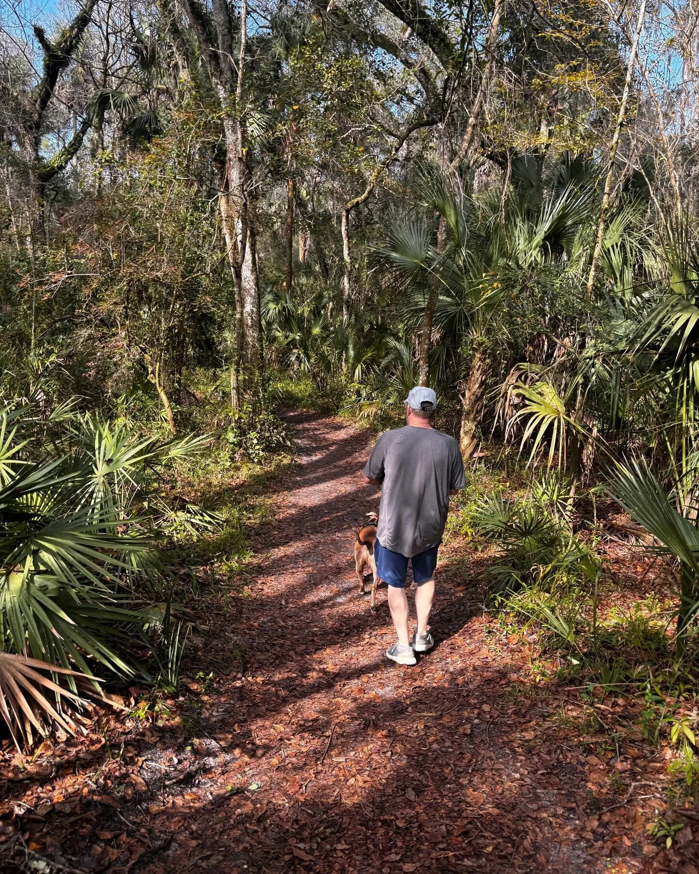 Went on a 4 mile hike to explore the state park near us and picked up an annual parks pass so we can go back! It was a pretty easy hike except for the fact that it rained this morning and so the back half of the loop was very wet and muddy and we jus