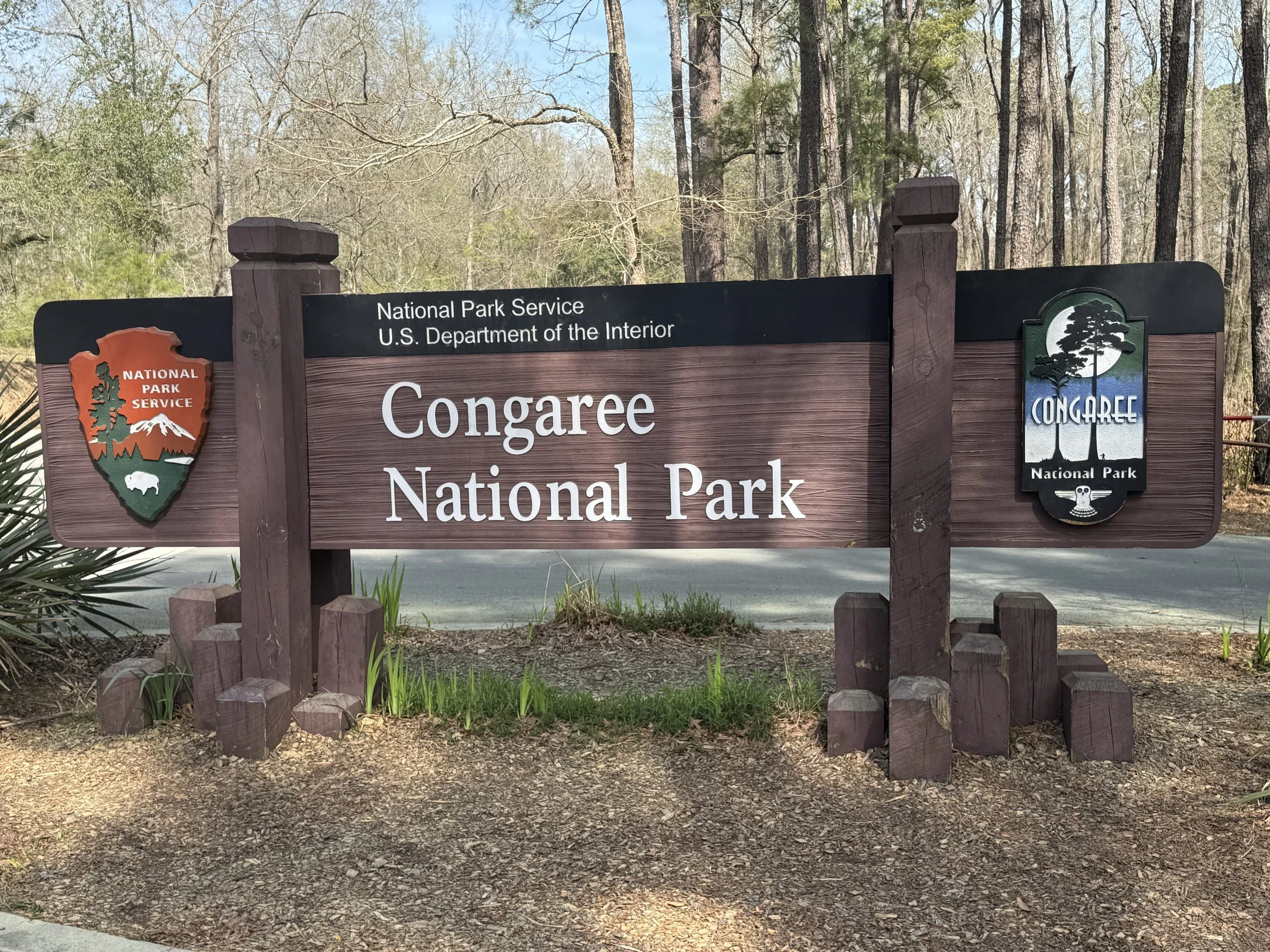Exploring Congaree National Park by kayak (and by foot)